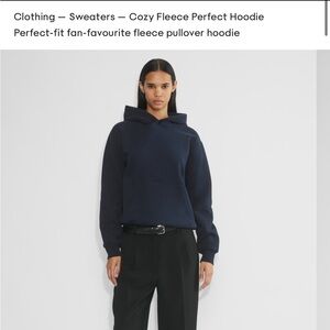 Aritzia Perfect Hoodie